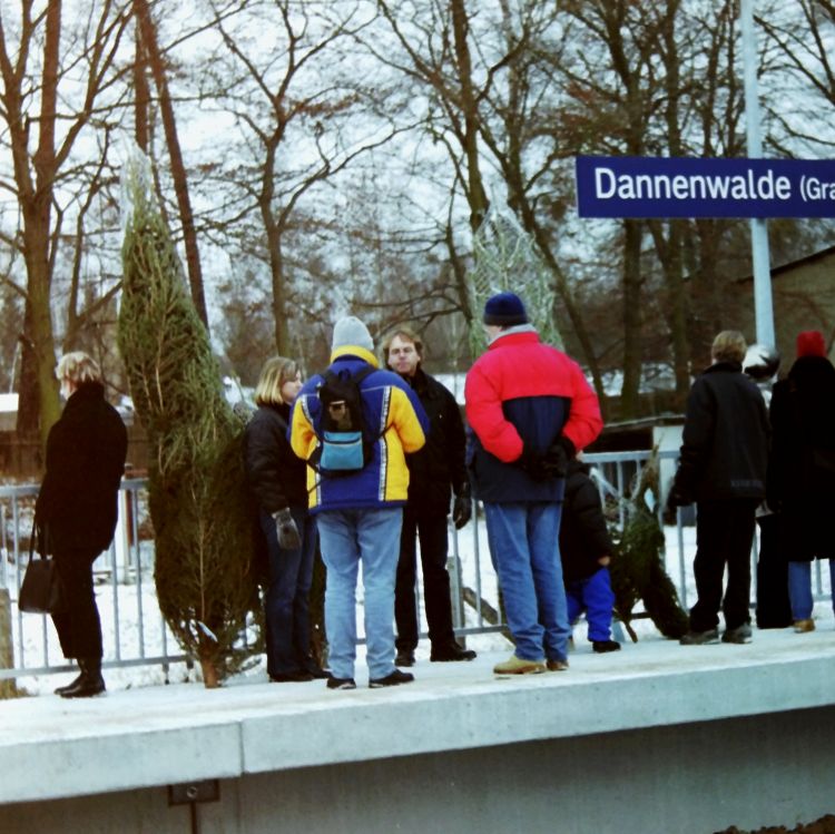 Frisch geschlagene Weihnachtsbäume im Jahr 2003 auf dem Bahnsteig nach Berlin