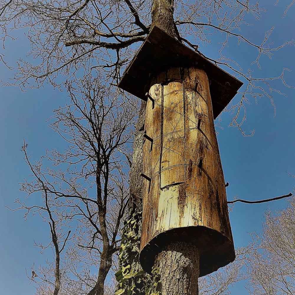 2021 wurde eine „Klotzbeute“ neben dem Bahnhof aufgestellt